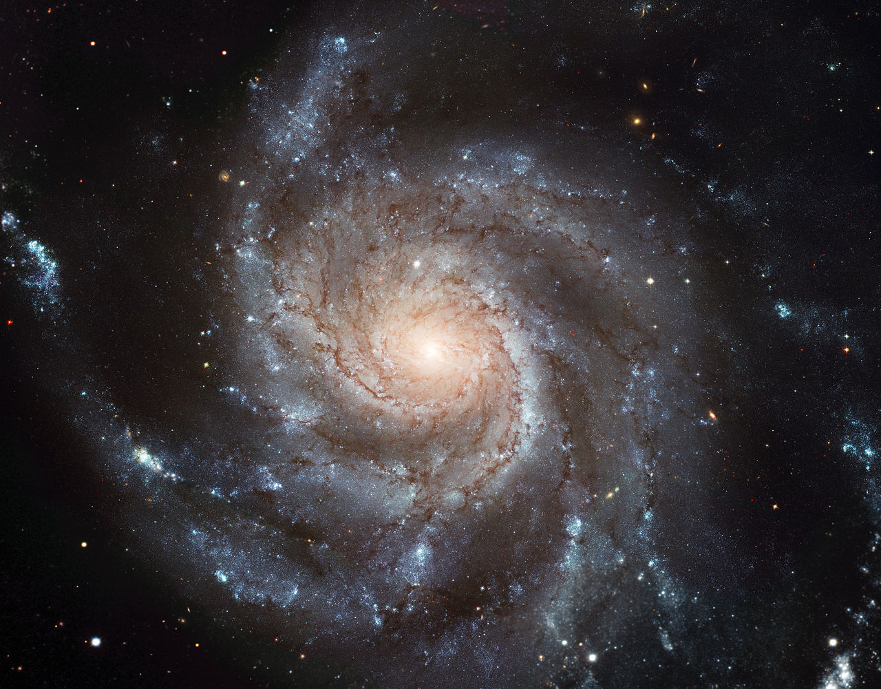 pinwheel galaxy